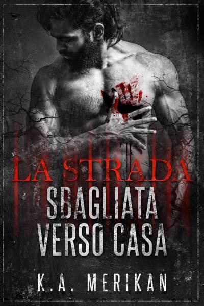 trama del libro La strada sbagliata verso casa